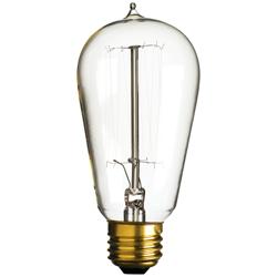 40 Watt Edison Filament Clear Glass Standard Base Light Bulb by Tesler