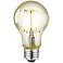 40 Watt Equivalent Amber 6 Watt LED Filament Standard Bulb