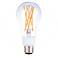 40W/100W Equivalent Clear 6.6W/9W/13.5W E21 LED 3-Way Light Bulb