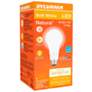 40W/100W Equivalent Frosted 6.6W/9W/13.5W LED E21 3-Way Bulb