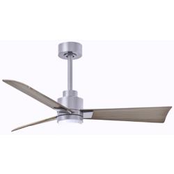 42" Alessandra Brushed Nickel and Gray Ash LED Ceiling Fan
