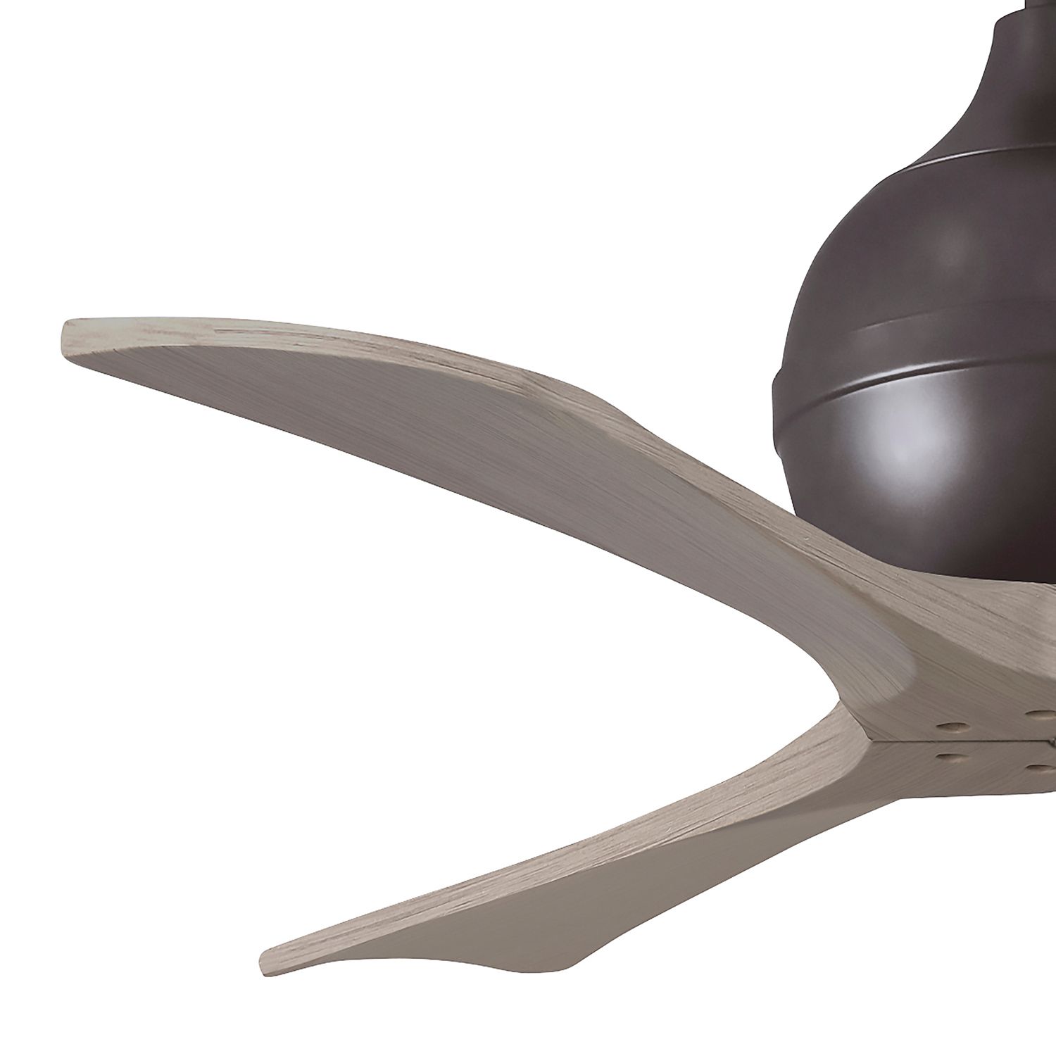 42" Irene-3 Textured Bronze and Gray Ash Ceiling Fan