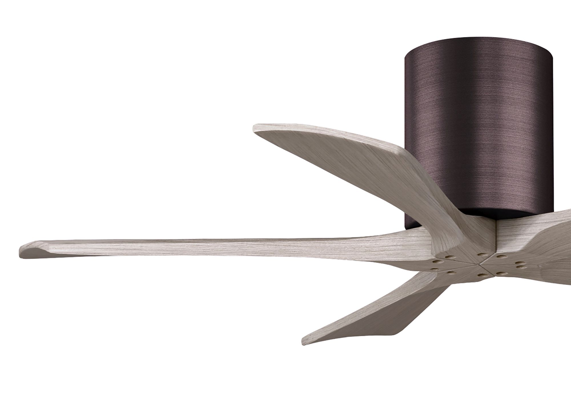 42" Irene-5H Brushed Bronze and Gray Ash Ceiling Fan