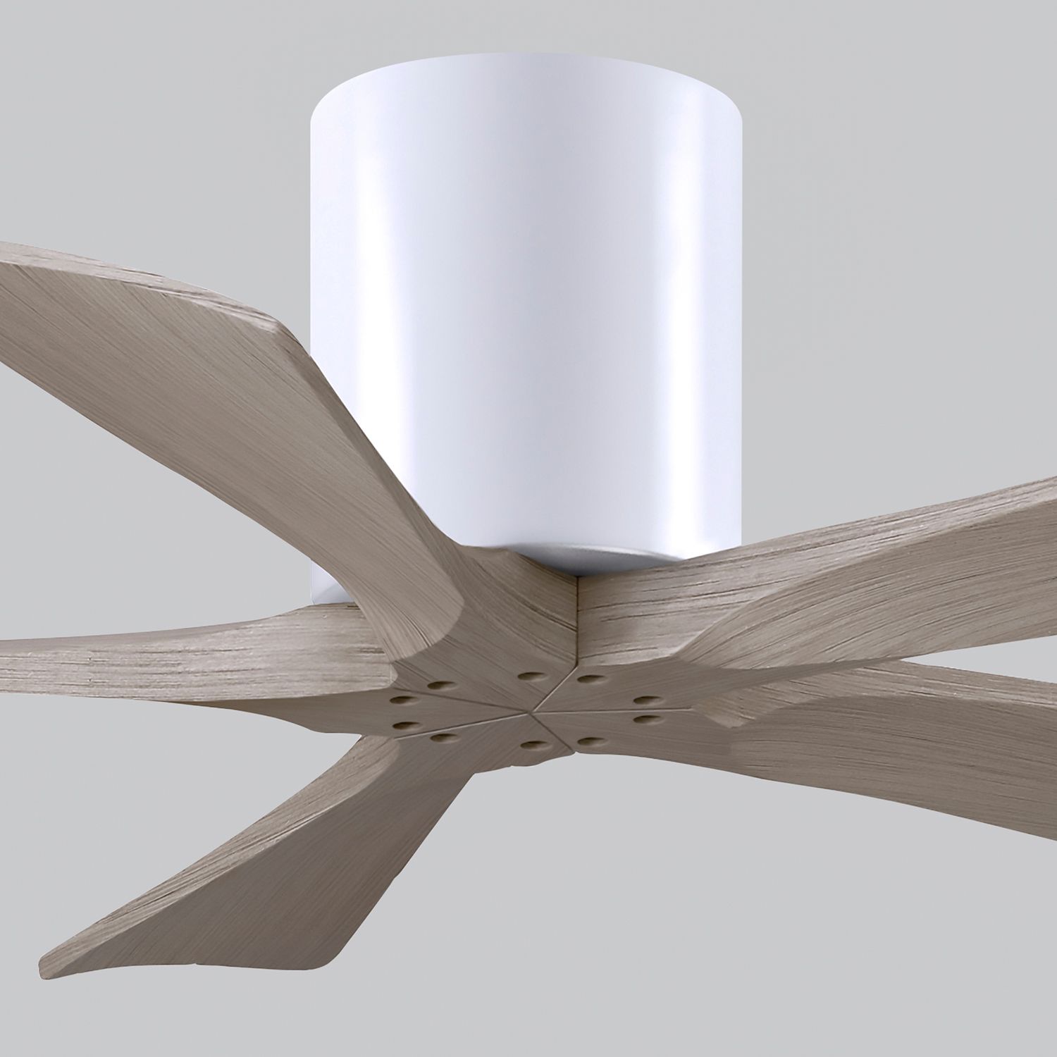 42" Irene-5H Matte White and Gray Ash Ceiling Fan