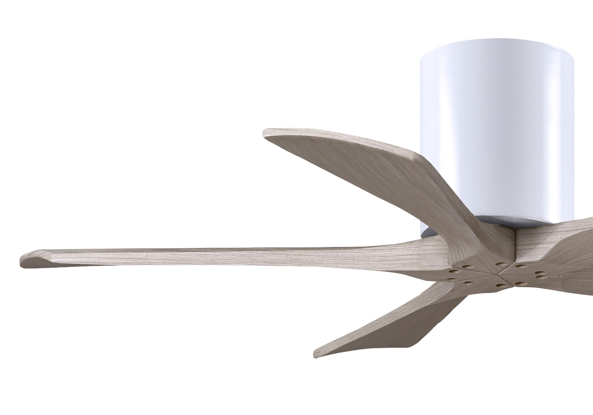 42" Irene-5H Matte White and Gray Ash Ceiling Fan