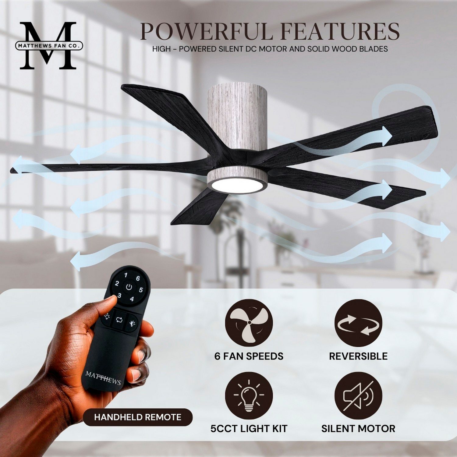 42" Irene-5HLK Barnwood and Matte Black LED Ceiling Fan