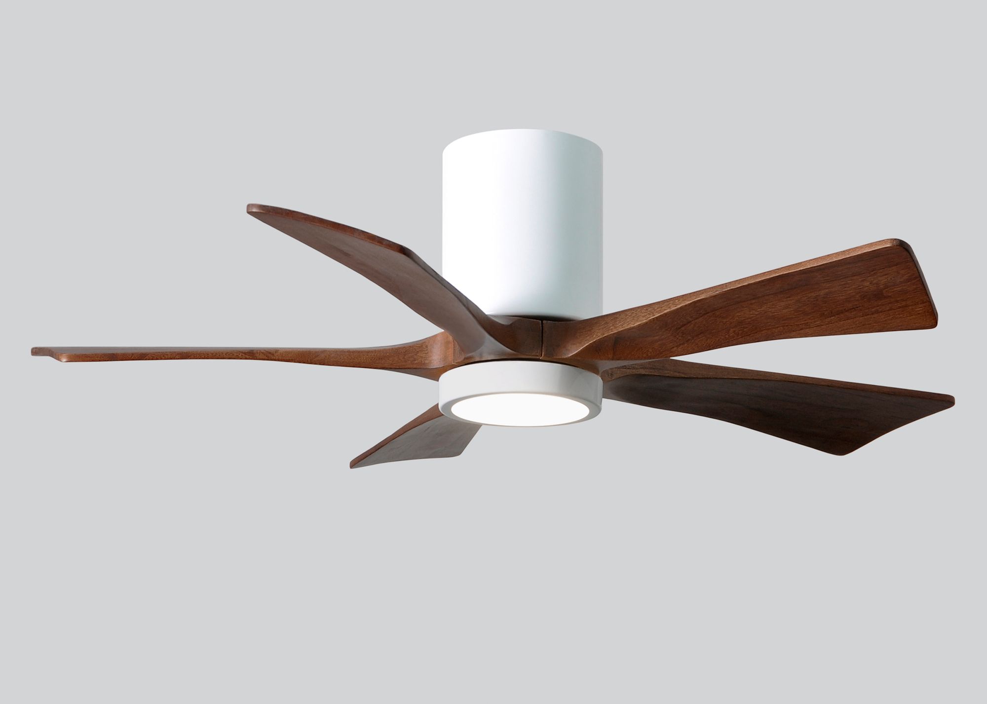 42" Irene-5HLK LED Damp Gloss White Walnut Ceiling Fan with Remote