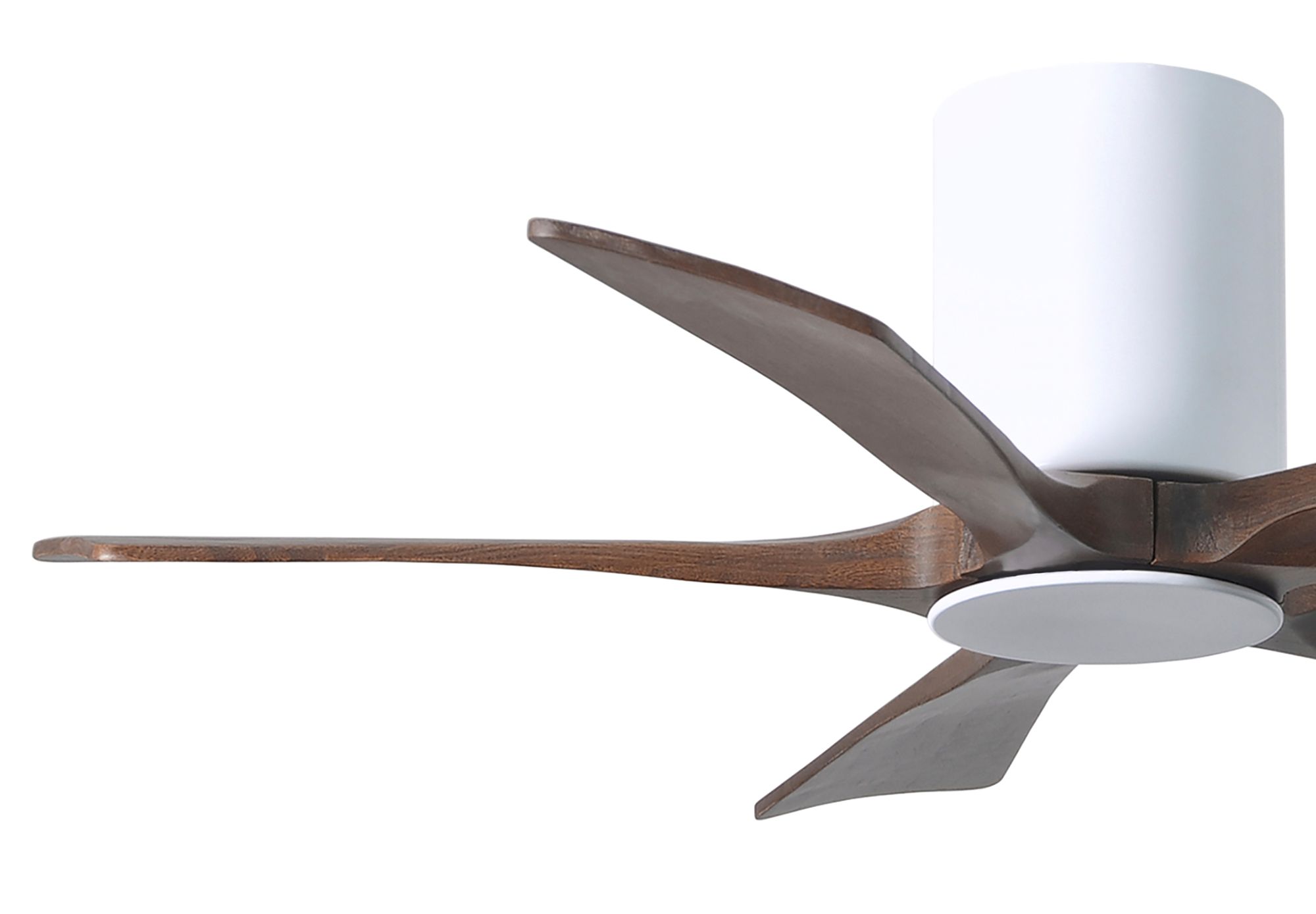 42" Irene-5HLK LED Damp Gloss White Walnut Ceiling Fan with Remote