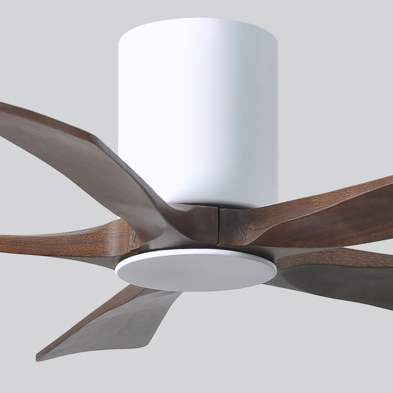 42" Irene-5HLK LED Damp Gloss White Walnut Ceiling Fan with Remote