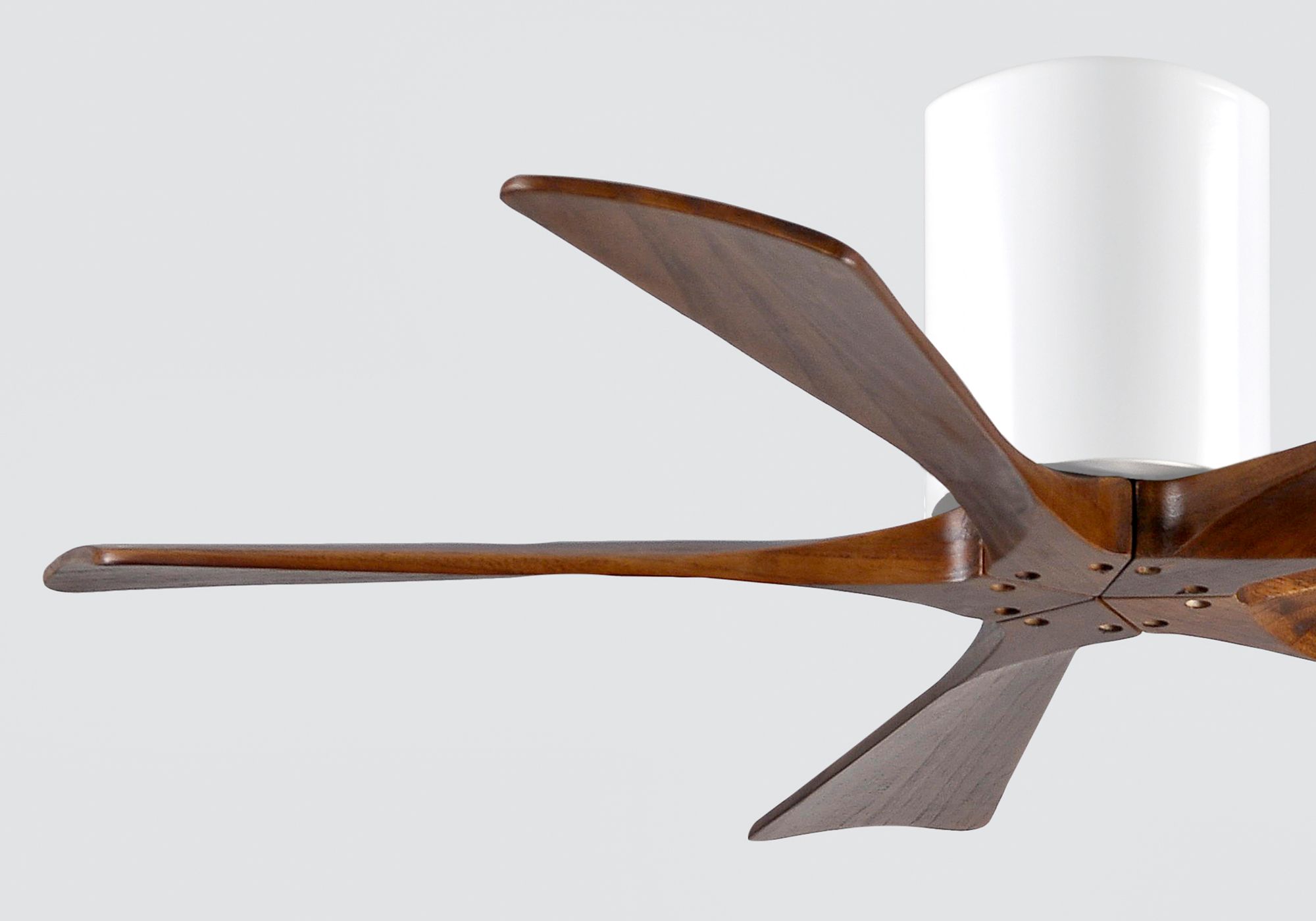 42" Matthews Irene-5H White and Walnut Hugger Ceiling Fan with Remote