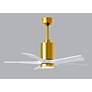4_42" Patricia-5 Brushed Brass and White LED Ceiling Fan more views