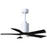 42" Patricia-5 Gloss White LED Ceiling Fan with Black Blades