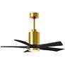 42" Patricia-5 LED Brass and Black Five Blade Ceiling Fan