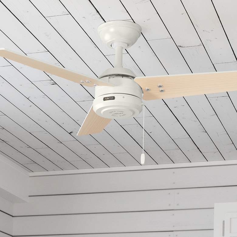 Image 1 44" Hunter Cassius Fresh White Damp Rated Ceiling Fan with Pull Chain
