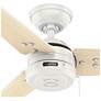 5_44" Hunter Cassius Fresh White Damp Rated Ceiling Fan with Pull Chain more views