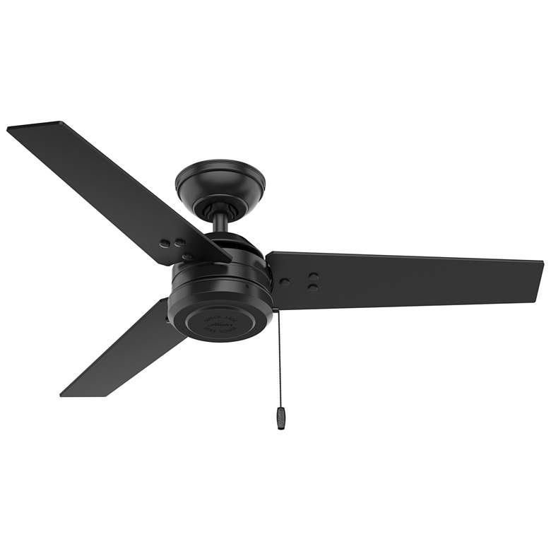 Image 1 44" Hunter Cassius Matte Black Damp Rated Ceiling Fan with Pull Chain