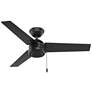 44" Hunter Cassius Matte Black Damp Rated Ceiling Fan with Pull Chain