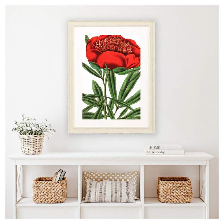 Image 1 Paeonia Officinalis 31"W x 41"H Framed Art in scene