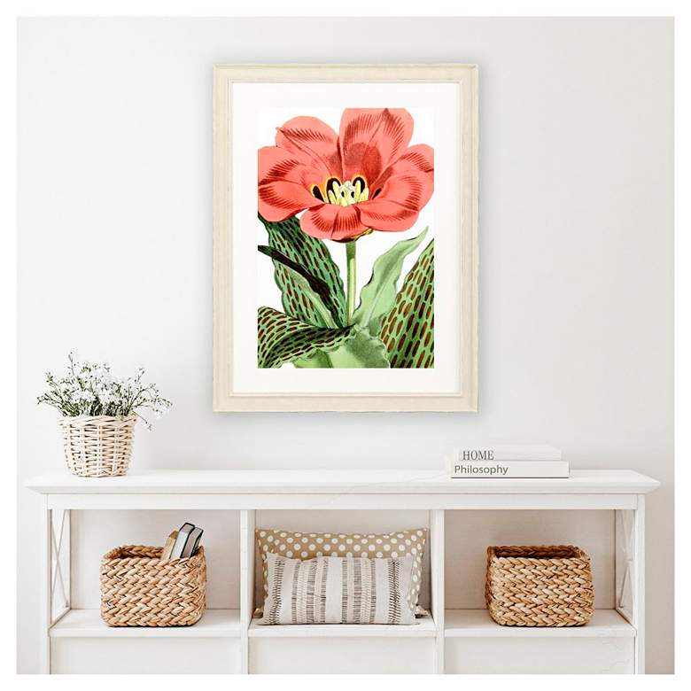 Image 1 Tulipa Greigii 31"W x 41"H Framed Art in scene
