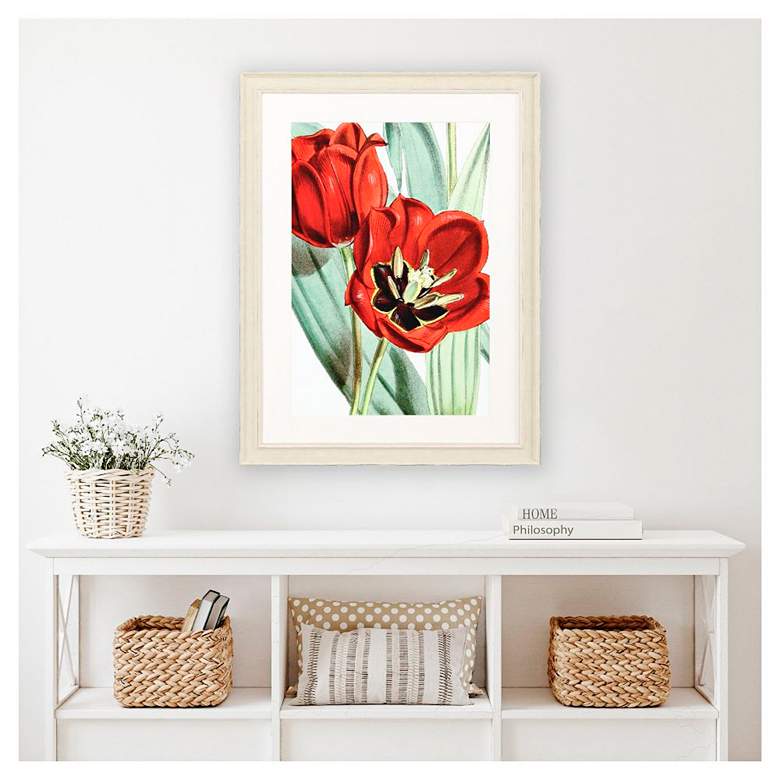 Image 1 Tulipa Undulatifolia 31"W x 41"H Framed Art in scene