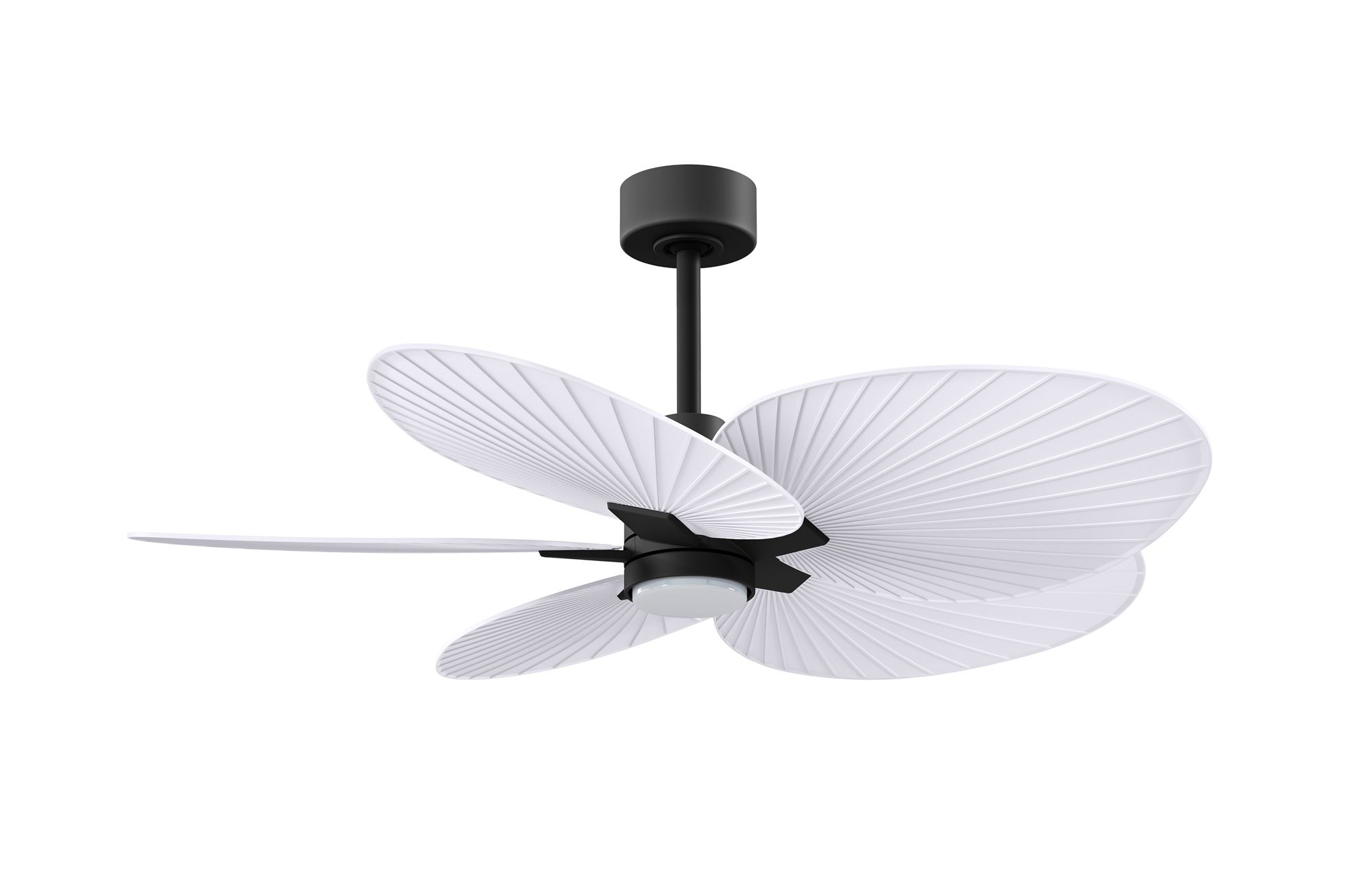 Image 3 48" Alessandra Black LED Ceiling Fan with Matte White Blades more views