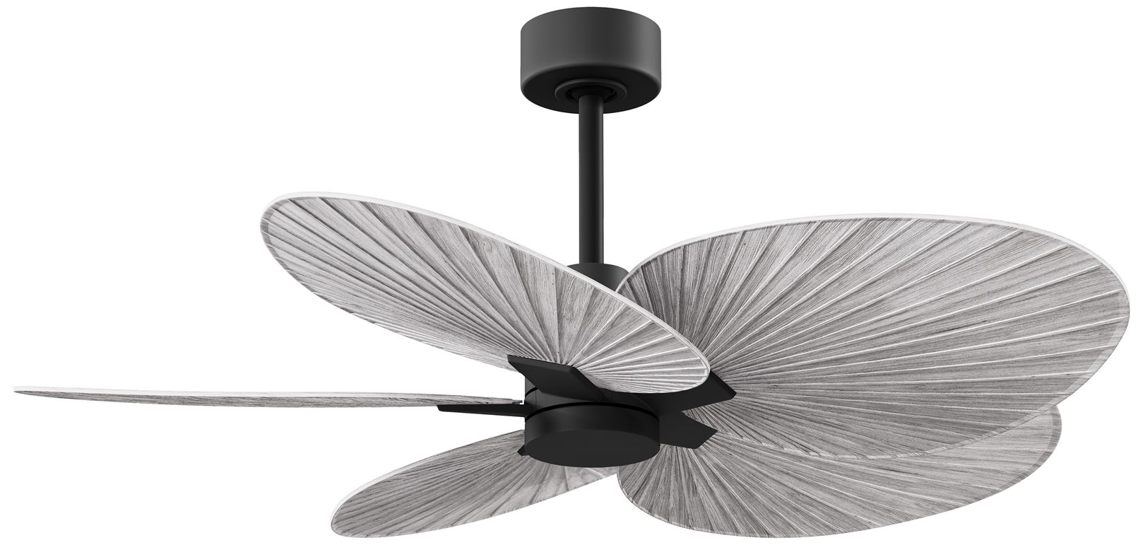 48" Matthews Alessandra Black Ceiling Fan with Barn Blades