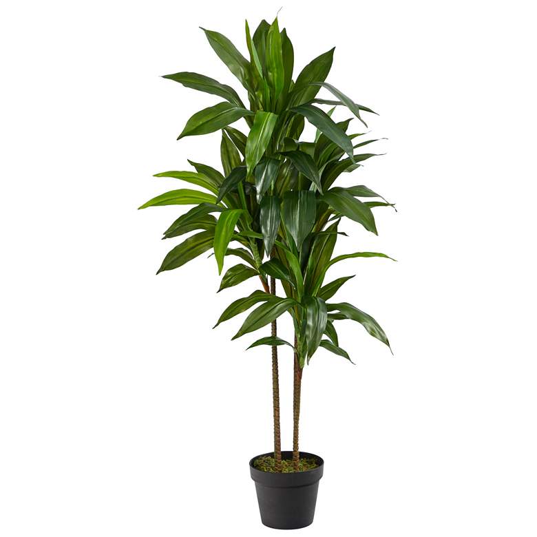 Image 1 48in. Dracaena Silk Plant (Real Touch)