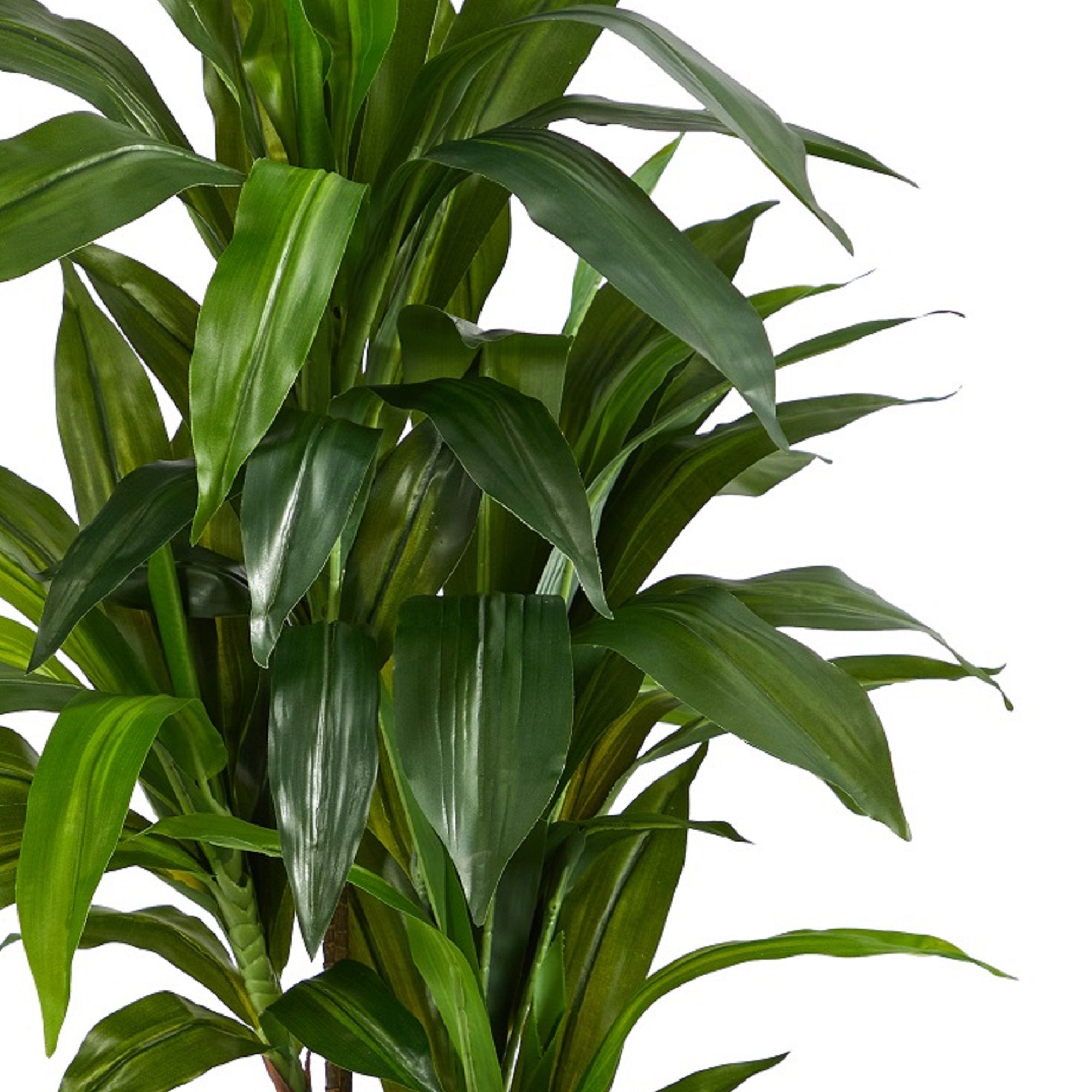 Image 5 48in. Dracaena Silk Plant (Real Touch) more views
