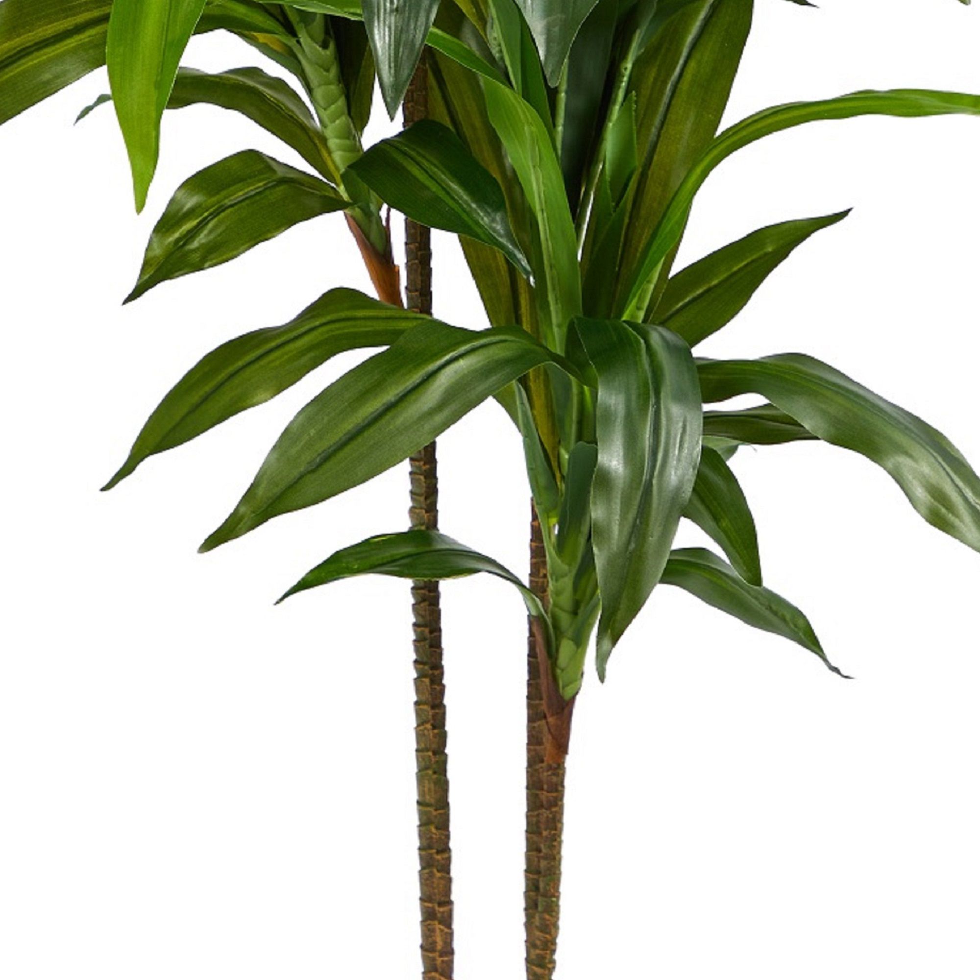 Image 7 48in. Dracaena Silk Plant (Real Touch) more views