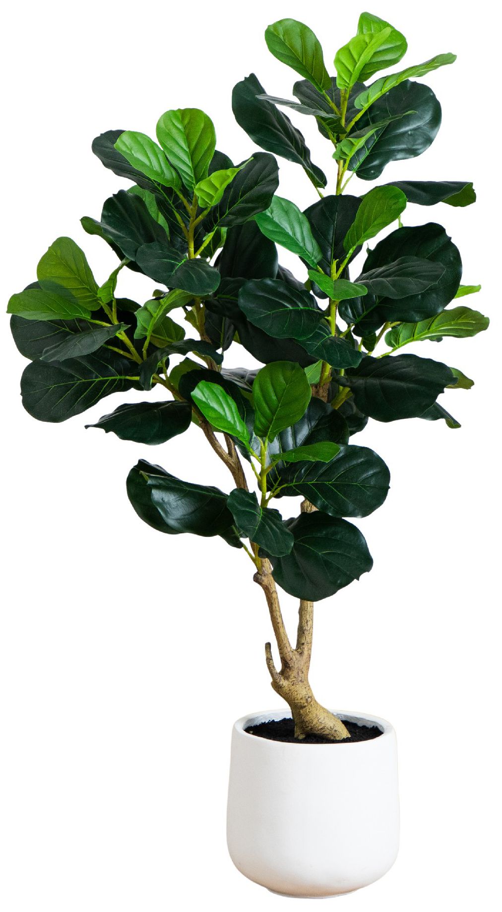 Image 2 4ft. Artificial Lush Fiddle Leaf Tree in Decorative White Planter