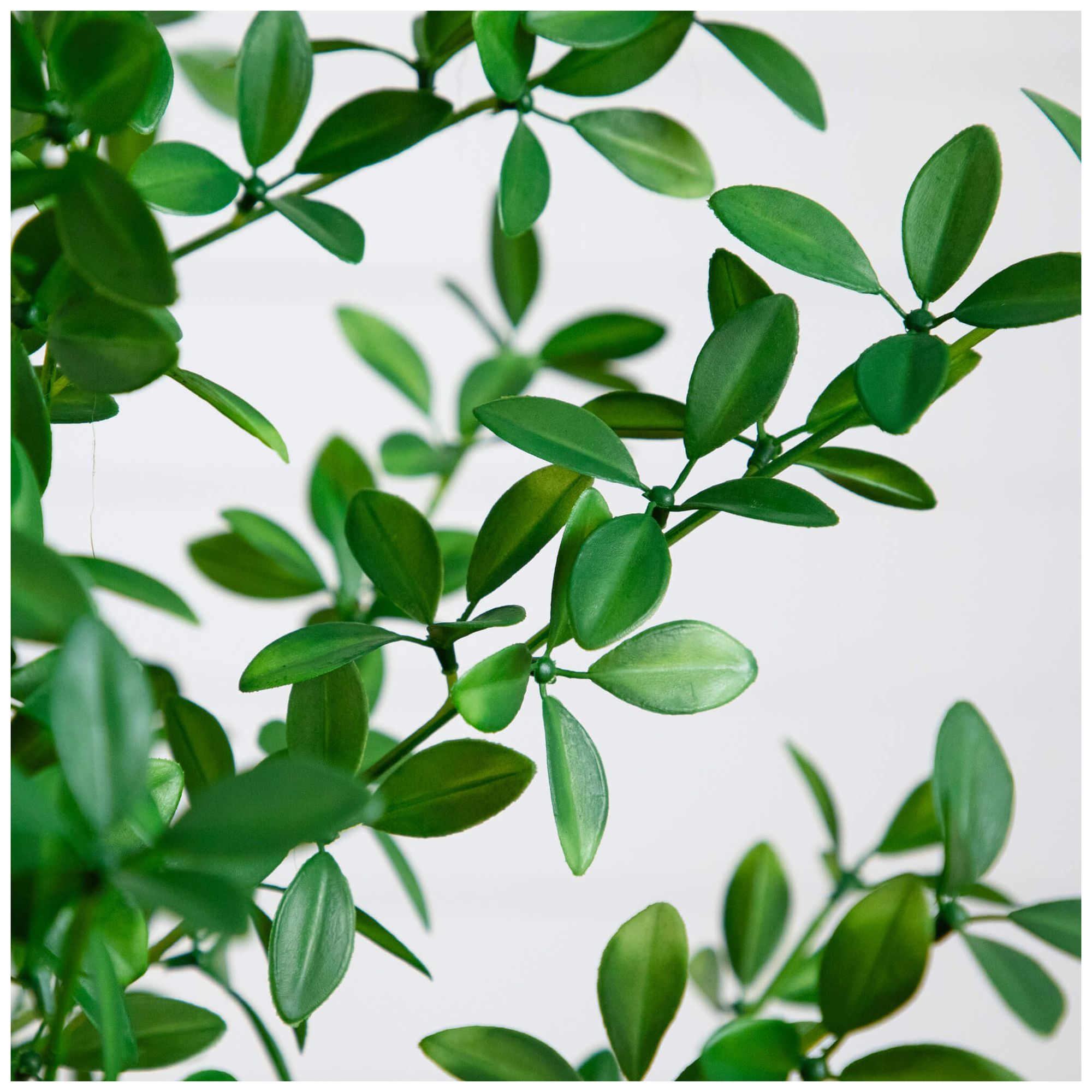 Image 4 4ft. Artificial Shady Lady Black Olive Tree more views