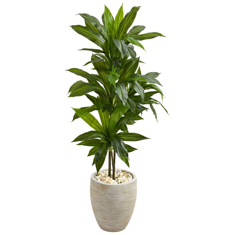 Image 1 4ft. Dracaena Artificial Plant in Sand Colored Planter (Real Touch)