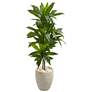 4ft. Dracaena Artificial Plant in Sand Colored Planter (Real Touch)