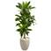4ft. Dracaena Artificial Plant in Sand Colored Planter (Real Touch)