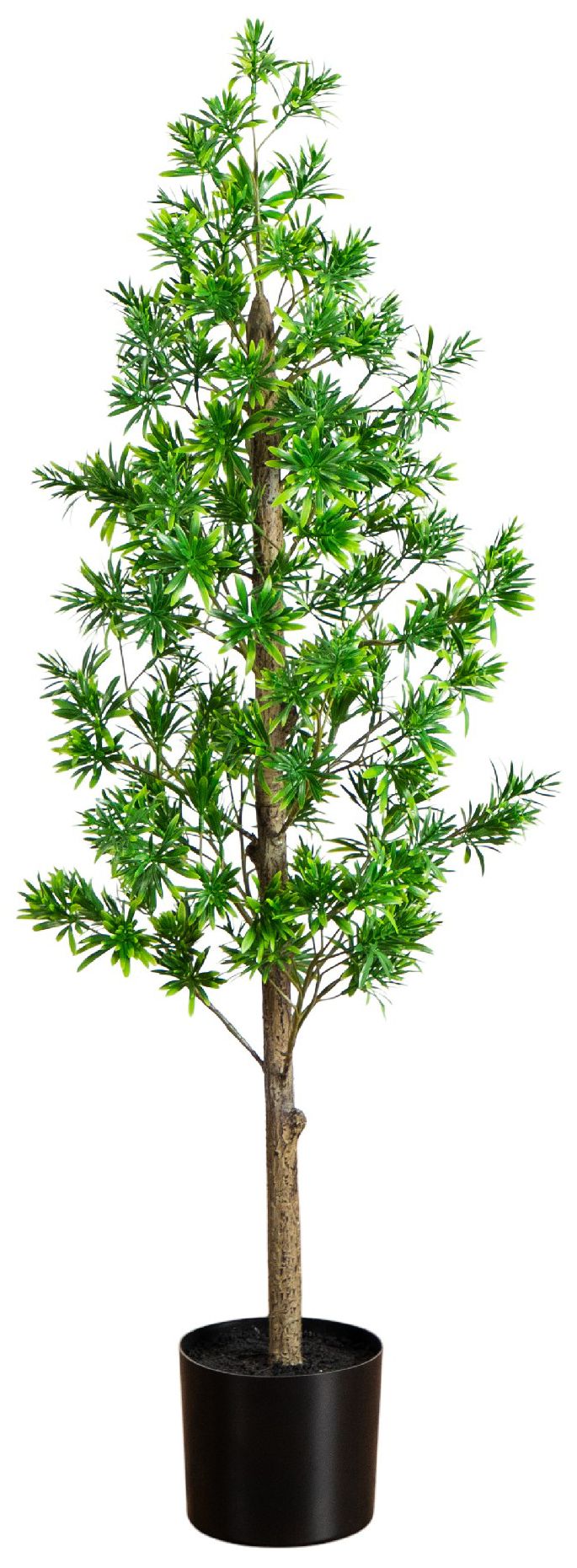 Image 2 4ft. UV Artificial Podocarpus Artificial Tree (Indoor/Outdoor)