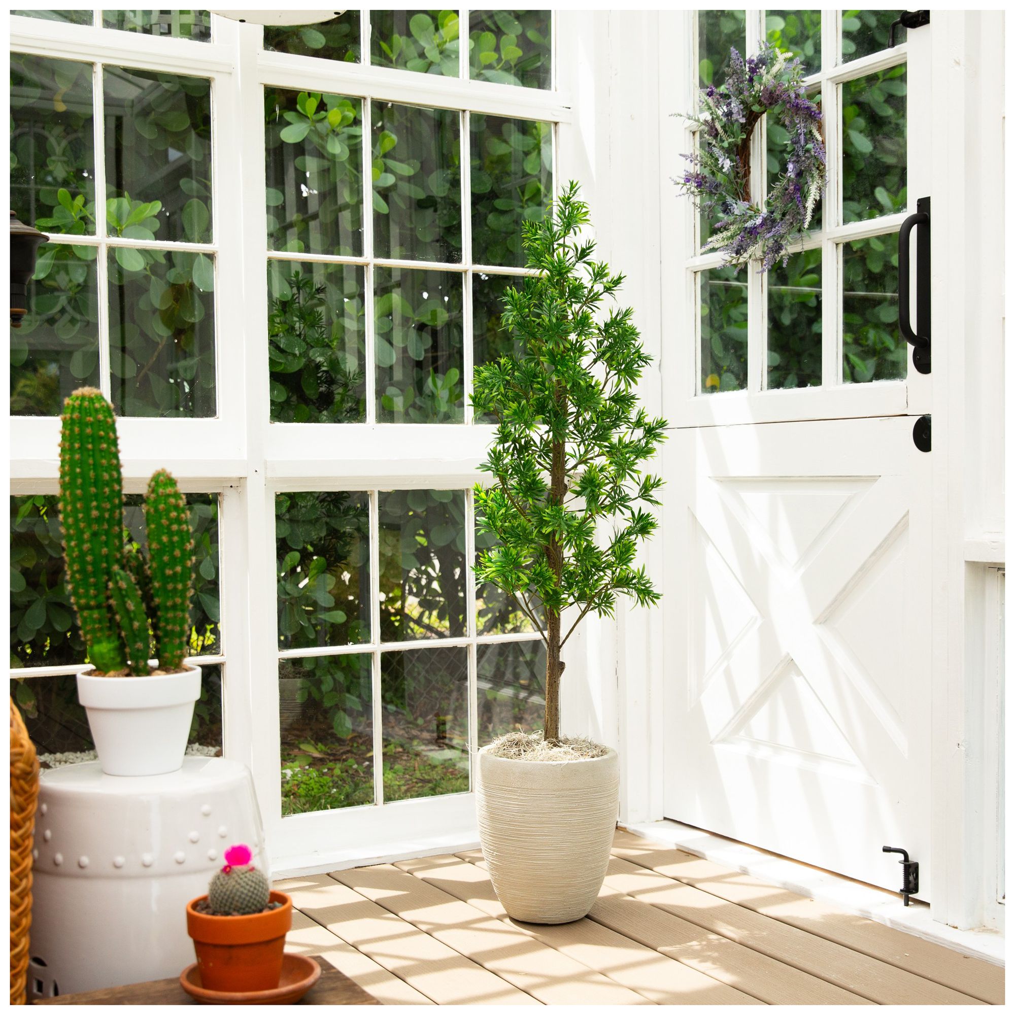 Image 7 4ft. UV Artificial Podocarpus Artificial Tree (Indoor/Outdoor) more views