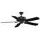 50" Fanimation Edgewood Black All-Weather Ceiling Fan