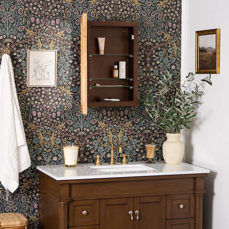 Image 1 Marlowe Tropical Hardwood 17" x 25" Medicine Cabinet in scene