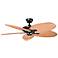 52" Canfield Climates™ Black Outdoor Ceiling Fan