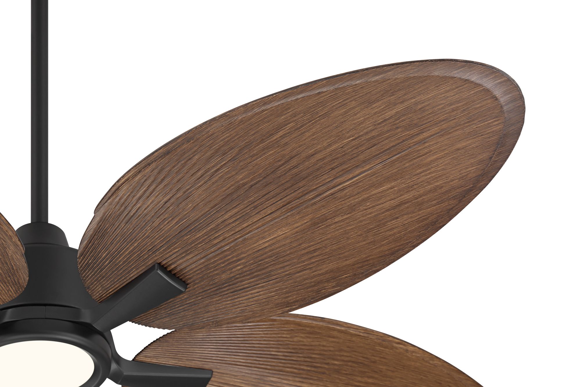 Image 5 52" Casa Vieja Bayleaf Black Walnut Indoor/Outdoor LED Ceiling Fan more views