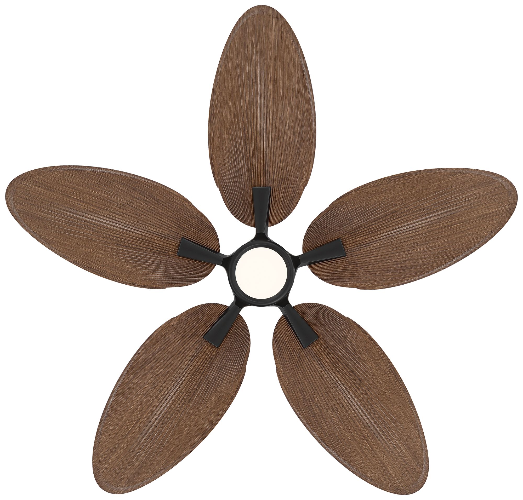 52" Casa Vieja Bayleaf Black Walnut Indoor/Outdoor LED Ceiling Fan in scene