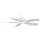 52" Fanimation Edgewood™ White Ceiling Fan