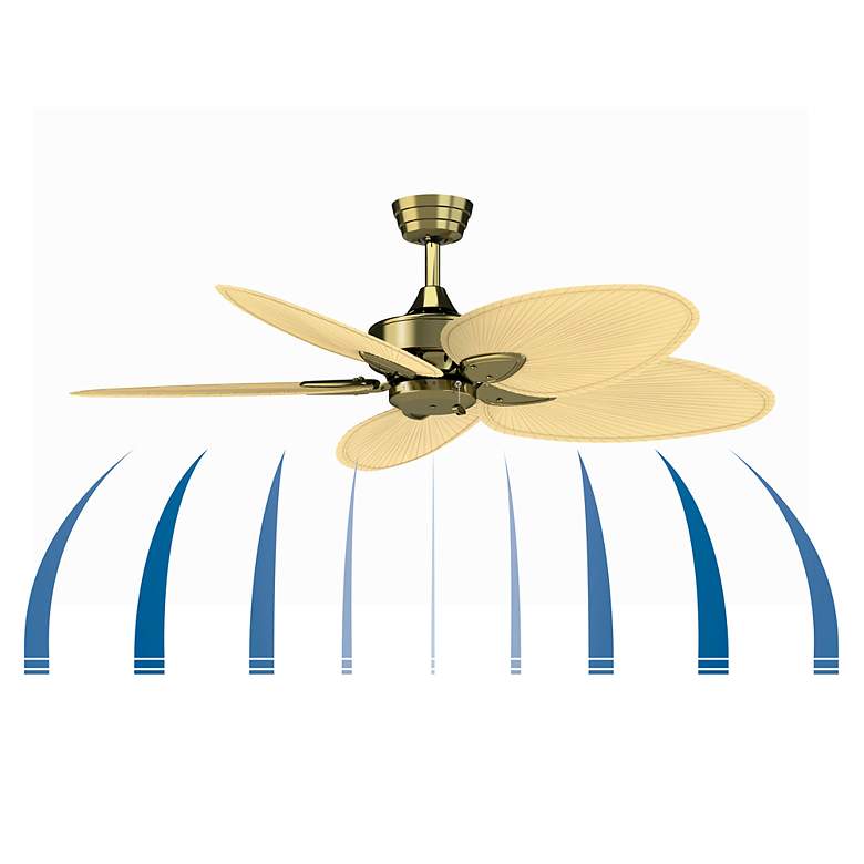 Image 4 52" Fanimation Windpointe Brass 5-Blade Ceiling Fan with Pull Chain more views