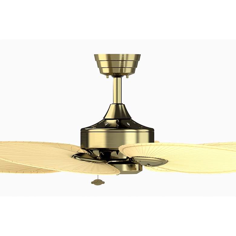 Image 6 52" Fanimation Windpointe Brass 5-Blade Ceiling Fan with Pull Chain more views