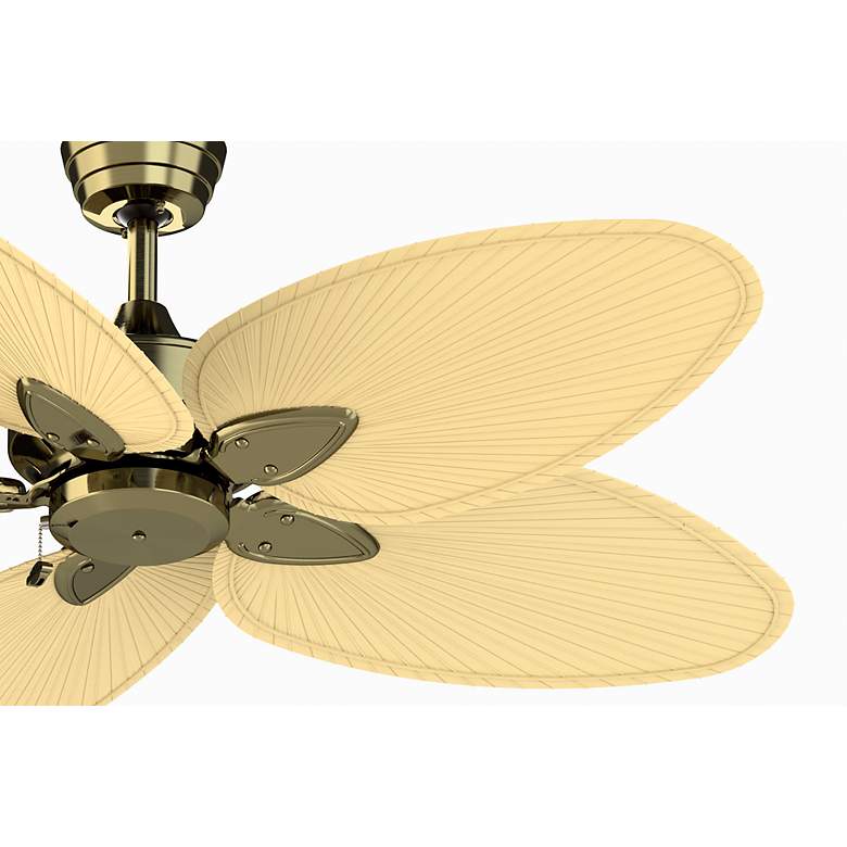 Image 7 52" Fanimation Windpointe Brass 5-Blade Ceiling Fan with Pull Chain more views