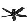 52" Hunter Newsome Matte Black Damp Rated Ceiling Fan and Pull Chain