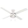 52" Hunter Spring Mill White Finish LED Damp Rated Pull Chain Fan