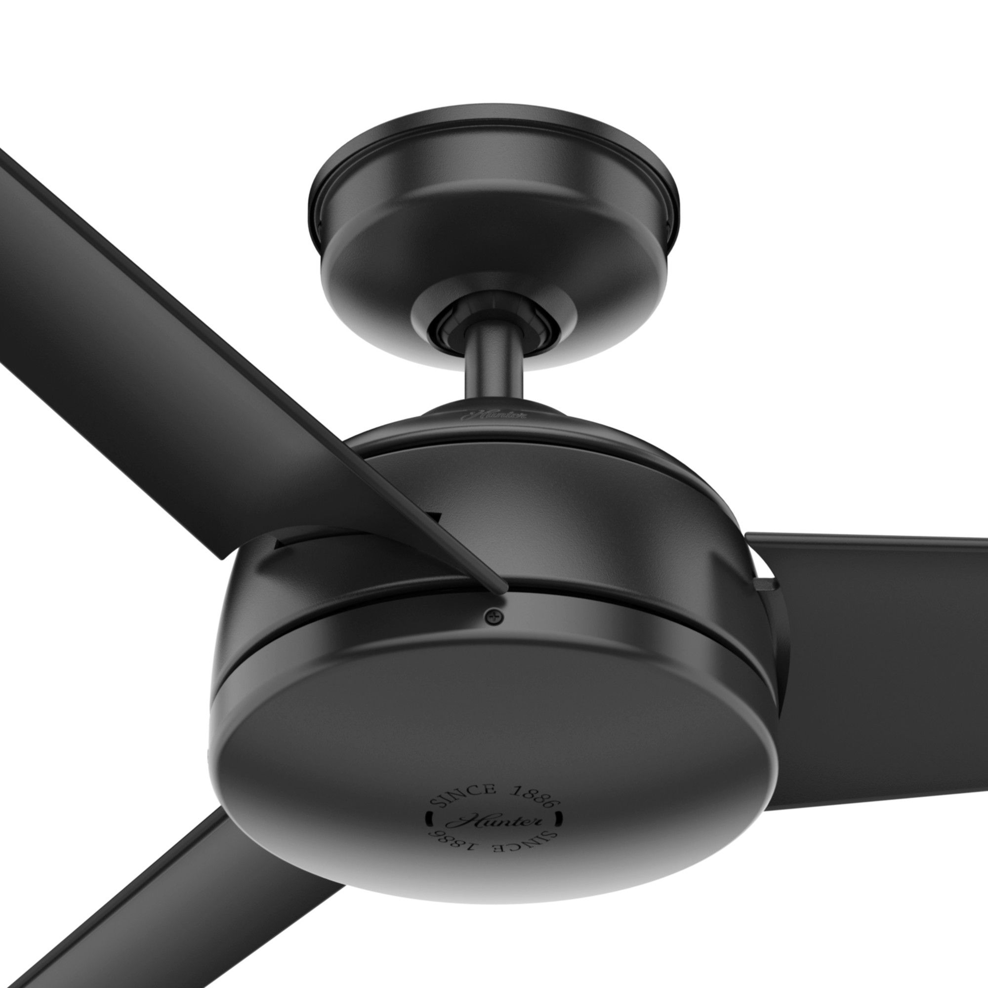 52" Hunter Trimaran Black Wet Rated Ceiling Fan with Wall Control in scene
