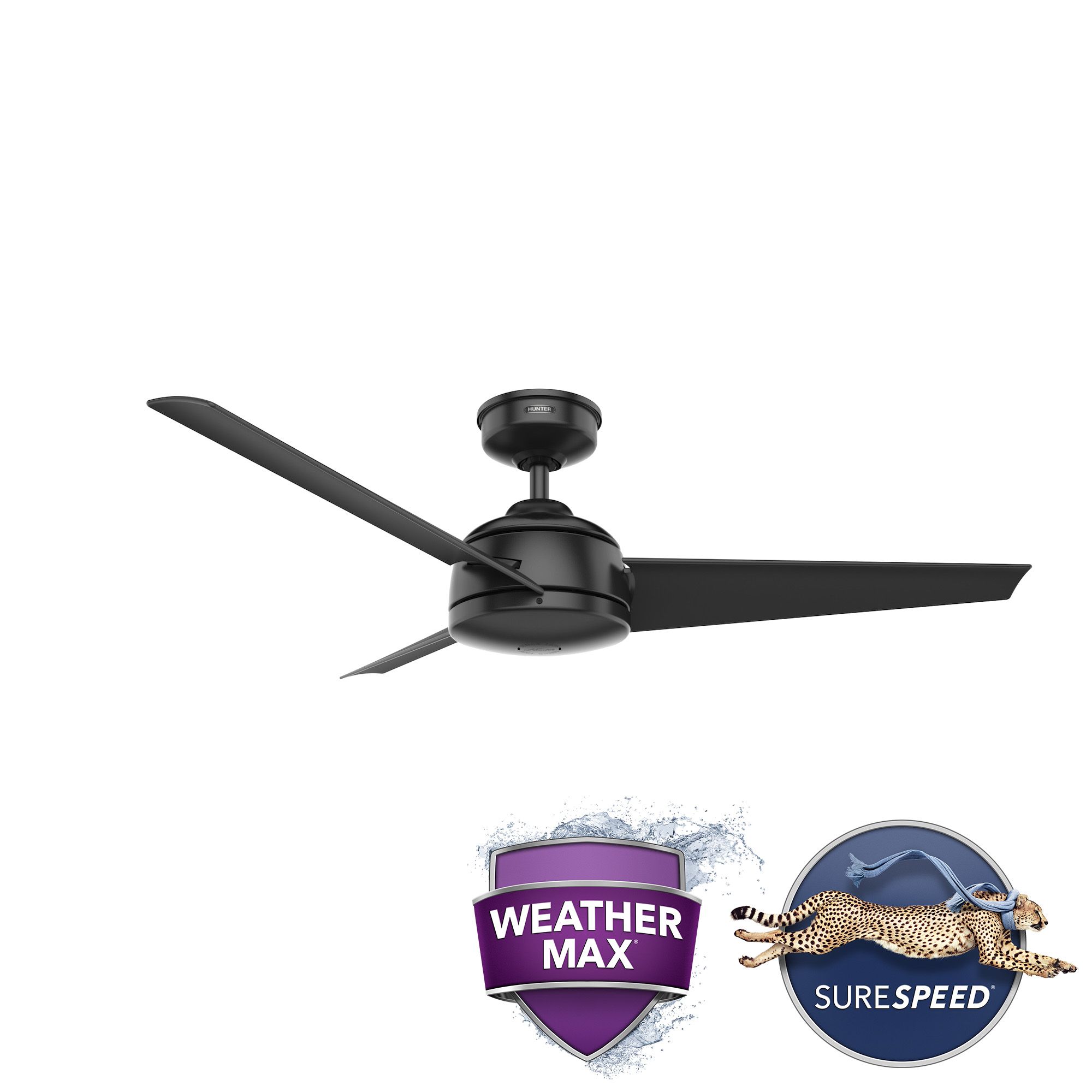 52" Hunter Trimaran Black Wet Rated Ceiling Fan with Wall Control in scene