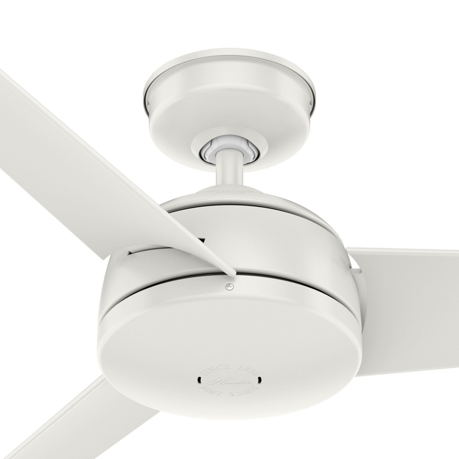 52" Hunter Trimaran Fresh White WeatherMax Fan with Wall Control in scene